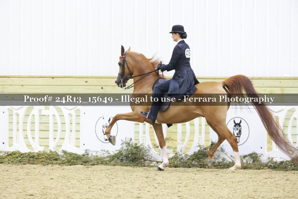 Proof Number 24R13_15649