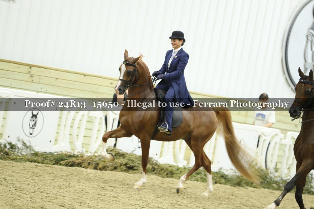 Proof Number 24R13_15650