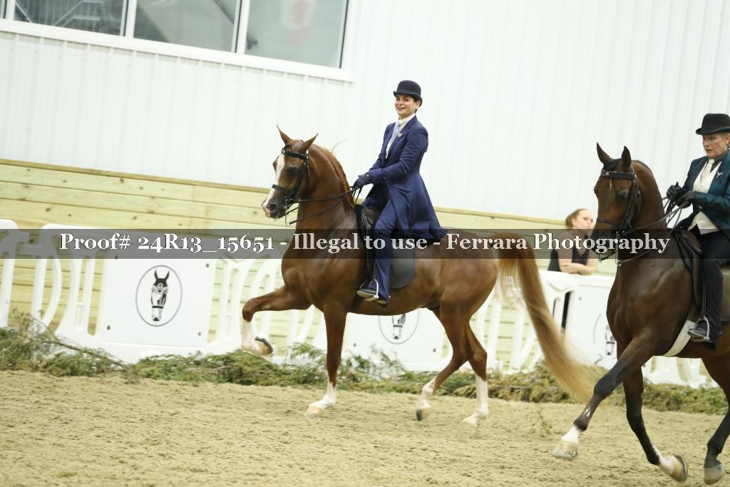 Proof Number 24R13_15651