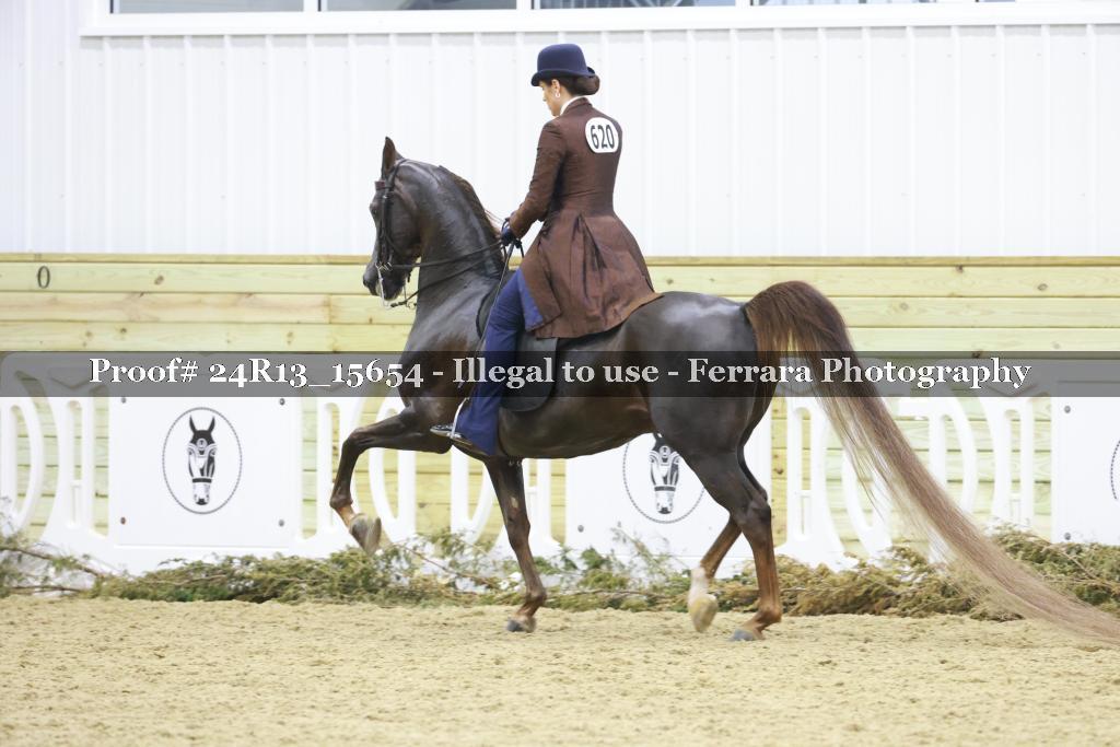 Proof Number 24R13_15654