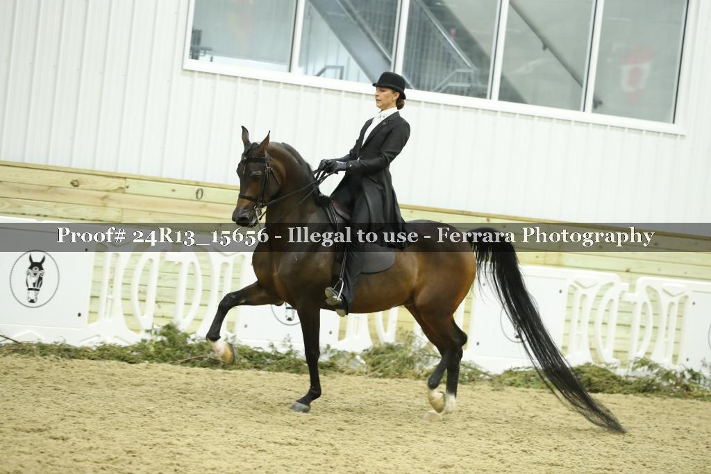 Proof Number 24R13_15656