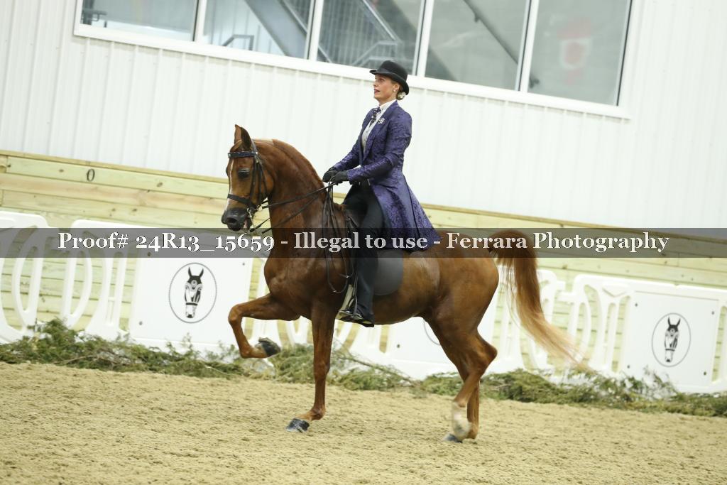 Proof Number 24R13_15659