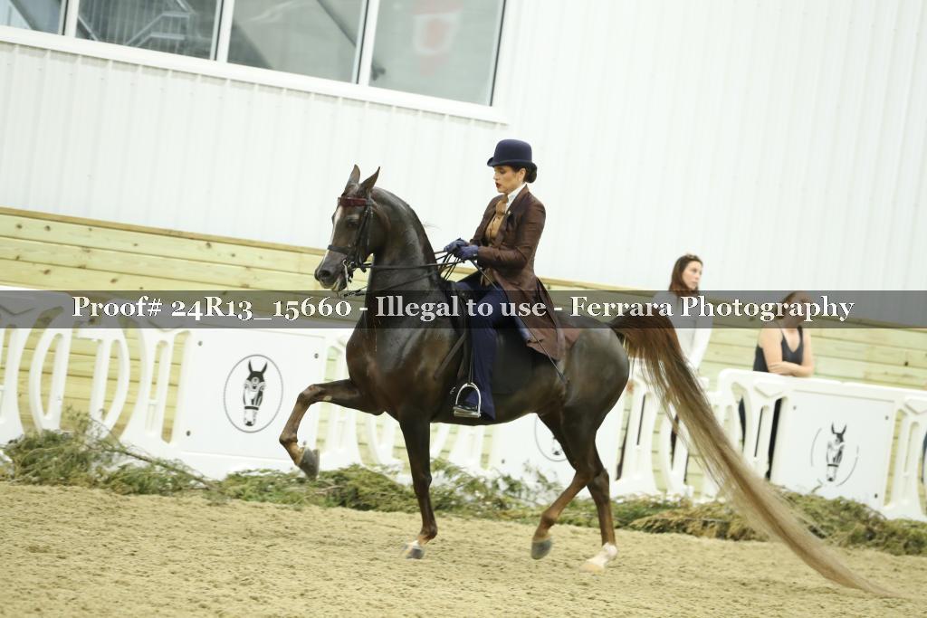 Proof Number 24R13_15660