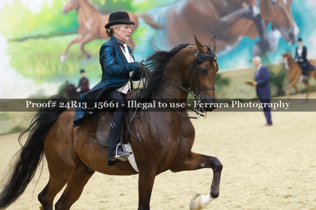Proof Number 24R13_15661