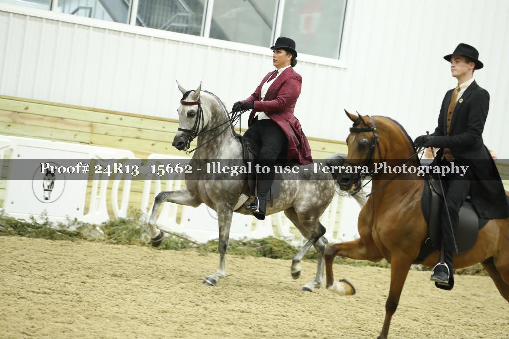 Proof Number 24R13_15662