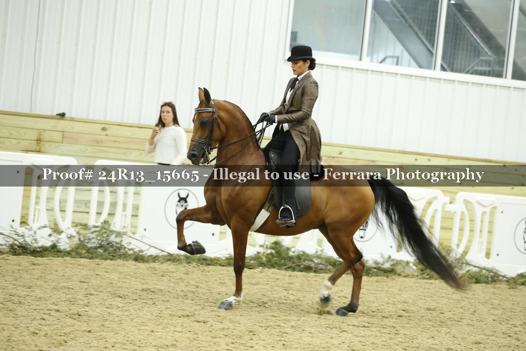 Proof Number 24R13_15665