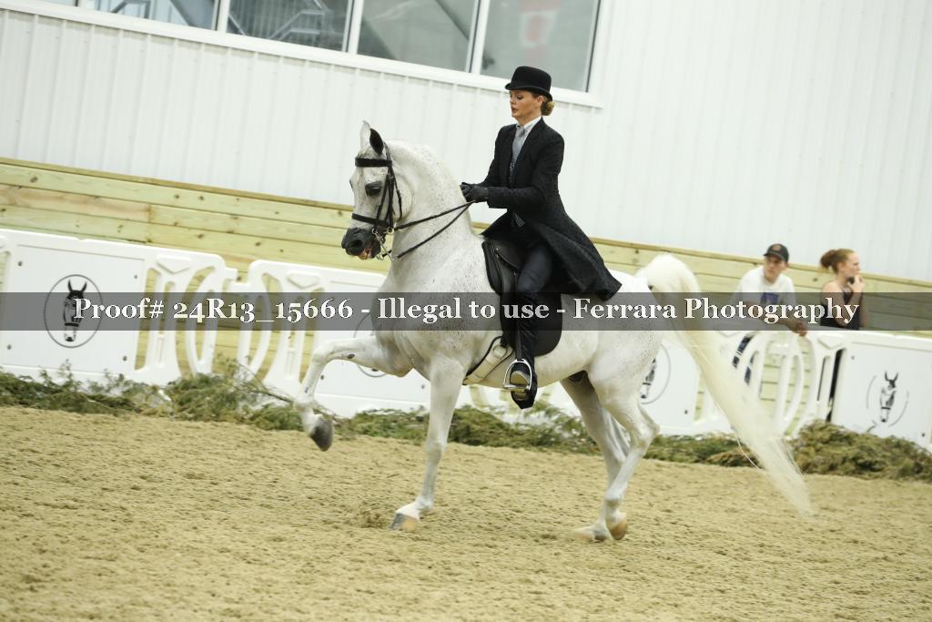 Proof Number 24R13_15666