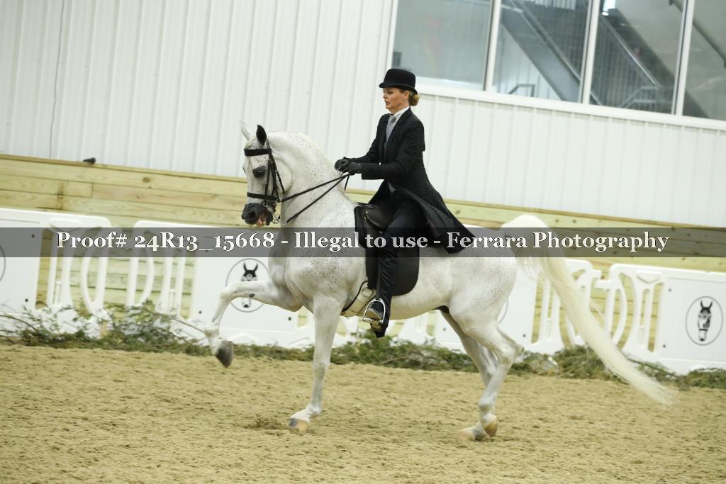 Proof Number 24R13_15668