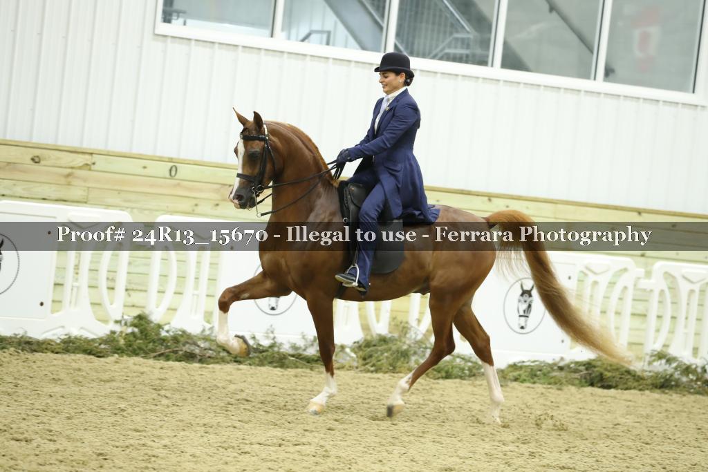 Proof Number 24R13_15670
