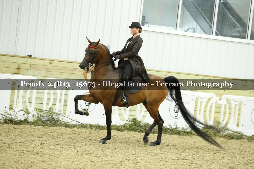 Proof Number 24R13_15673