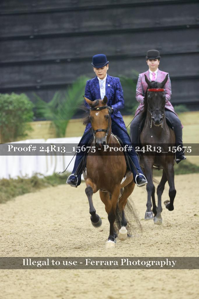 Proof Number 24R13_15675