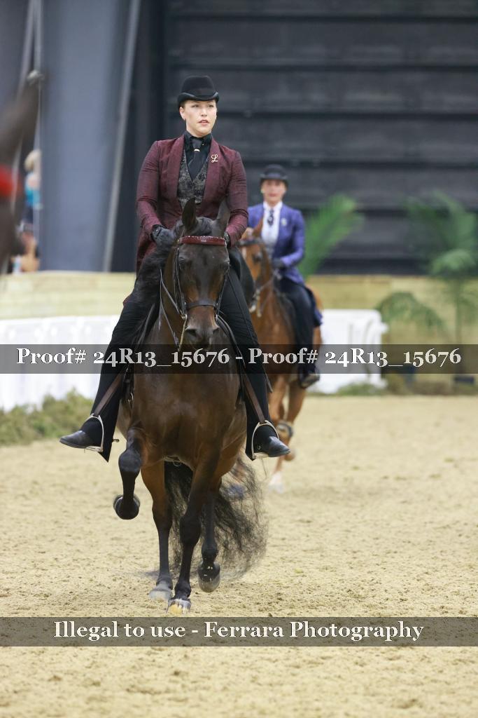 Proof Number 24R13_15676