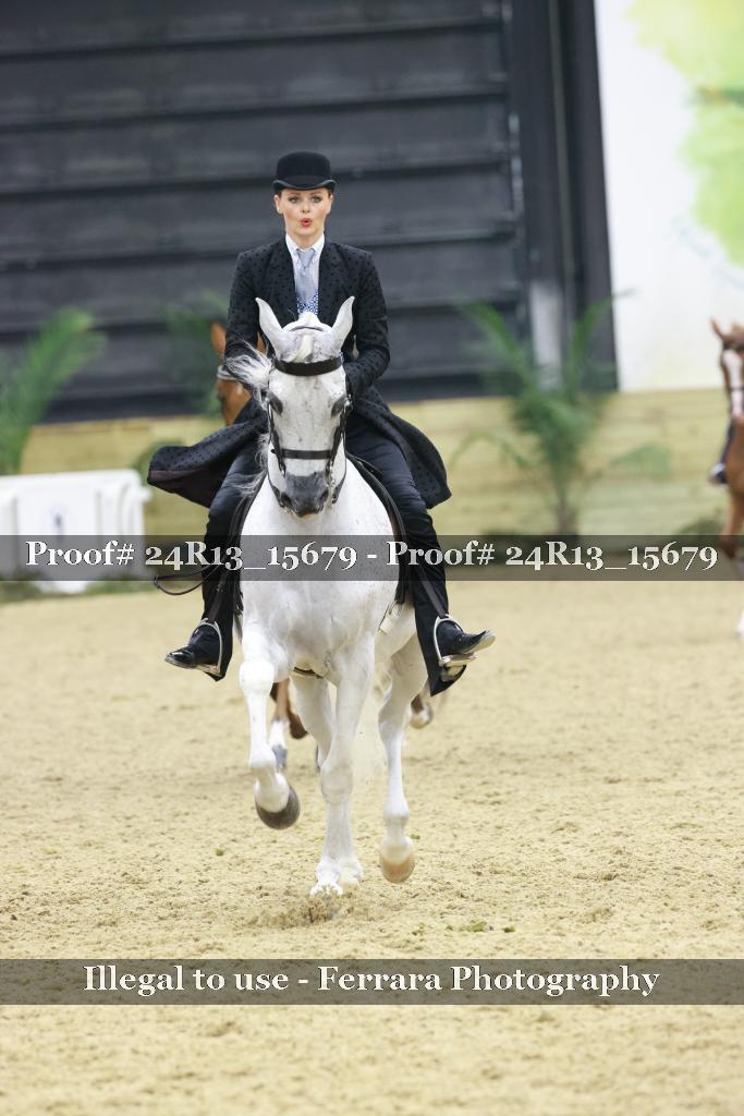 Proof Number 24R13_15679