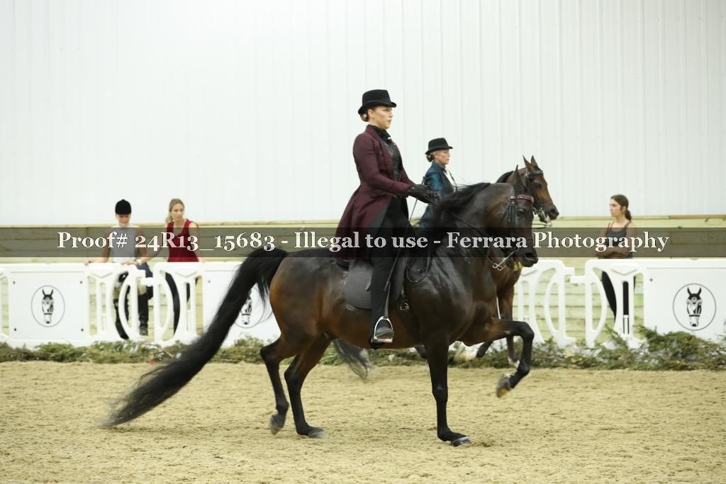 Proof Number 24R13_15683