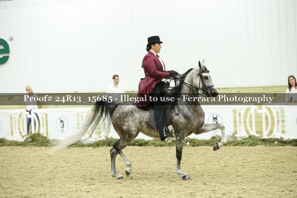 Proof Number 24R13_15685