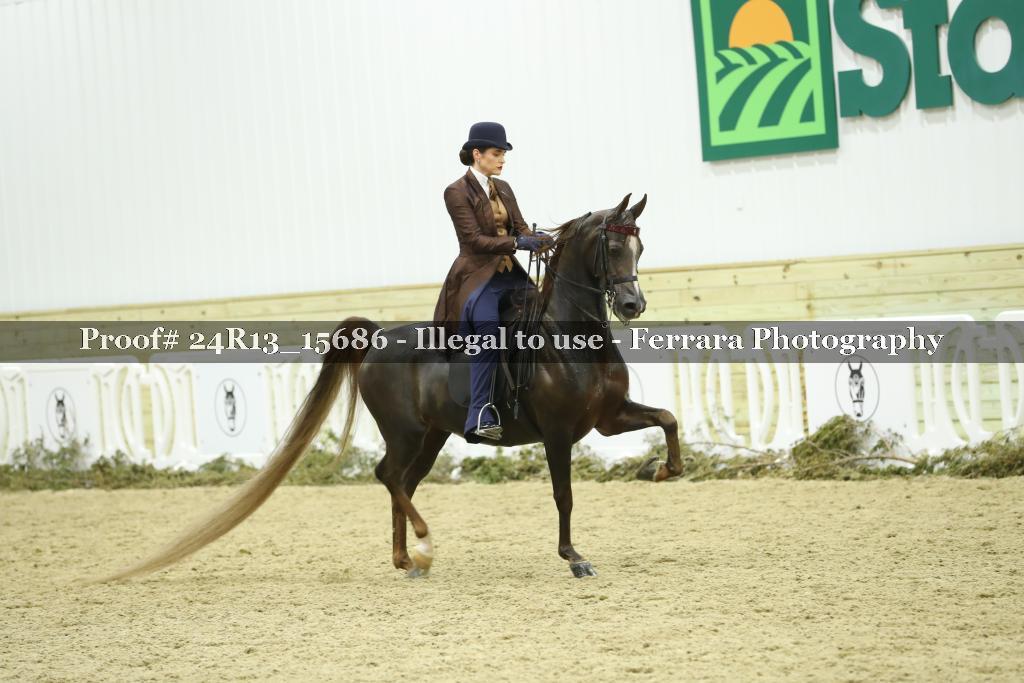 Proof Number 24R13_15686
