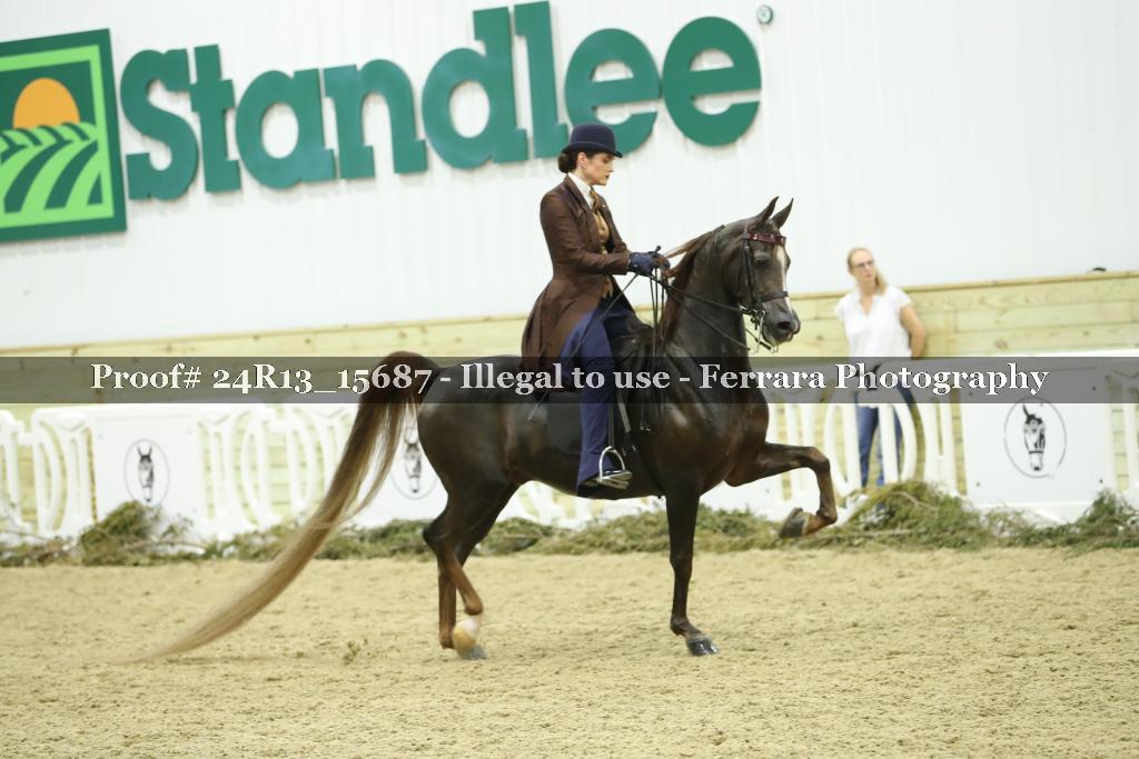 Proof Number 24R13_15687