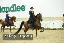 24R13_15689 thumbnail