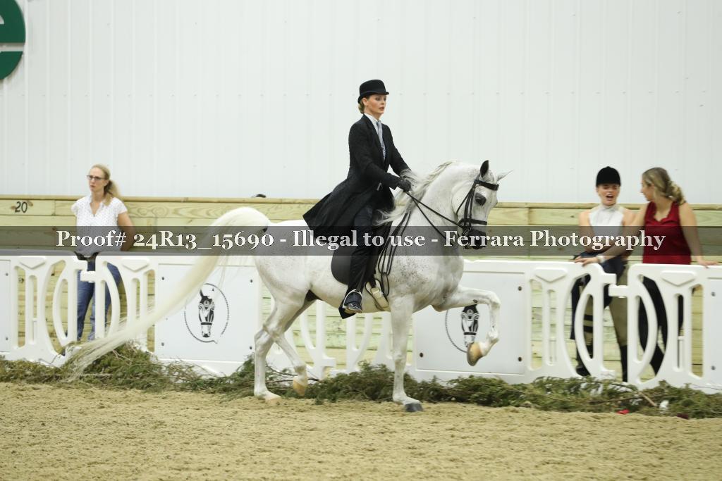 Proof Number 24R13_15690