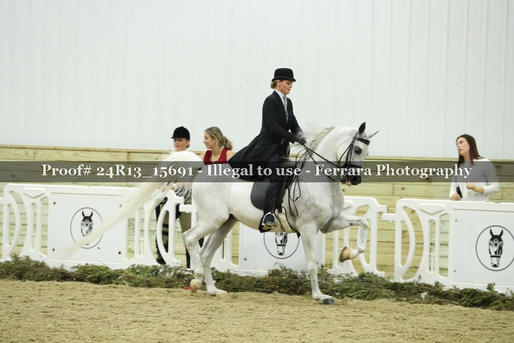 Proof Number 24R13_15691