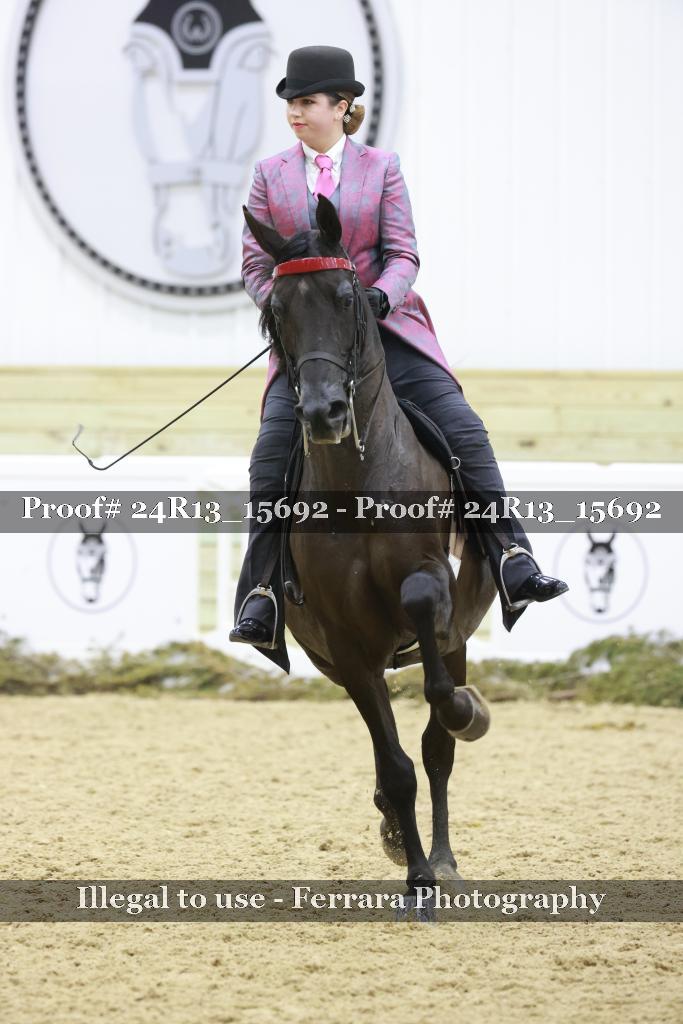 Proof Number 24R13_15692