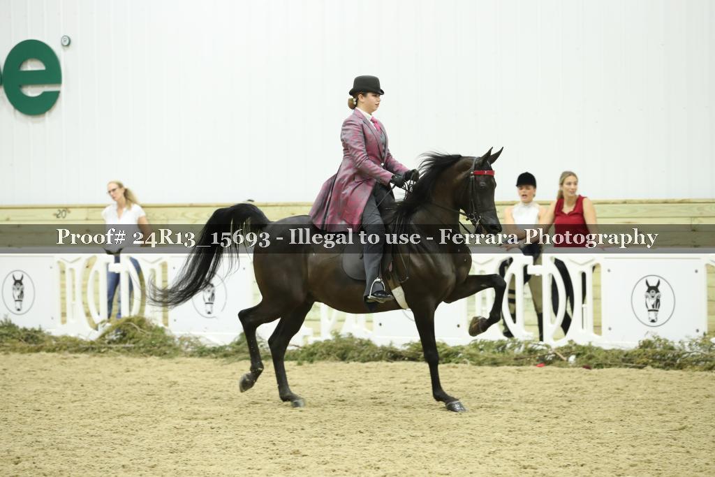 Proof Number 24R13_15693