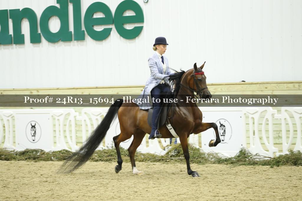 Proof Number 24R13_15694