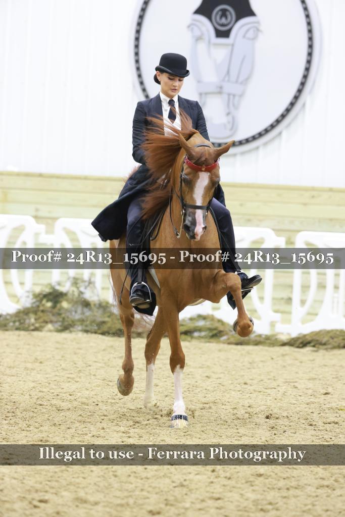 Proof Number 24R13_15695