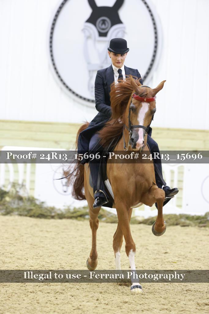 Proof Number 24R13_15696