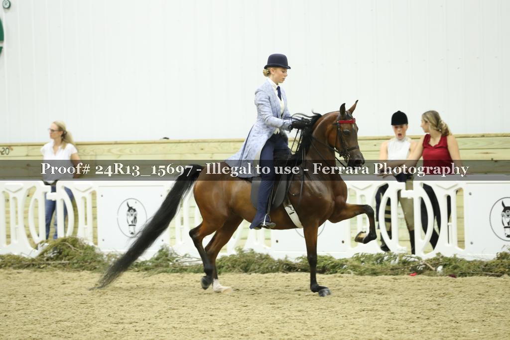 Proof Number 24R13_15697