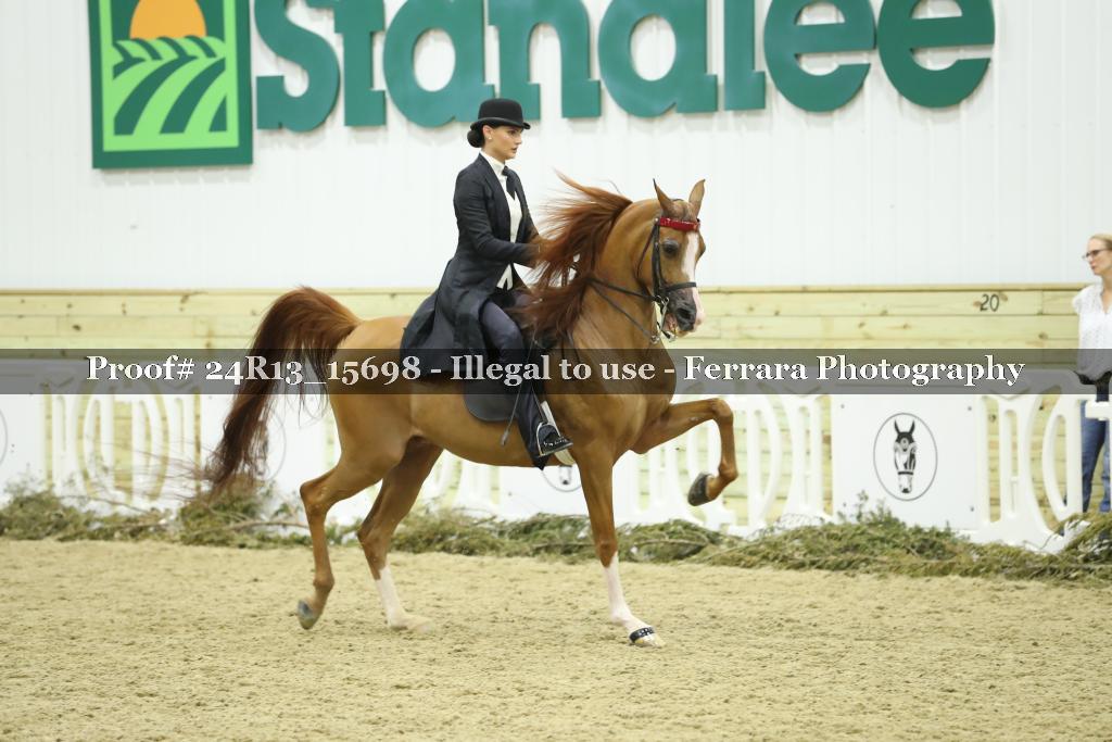 Proof Number 24R13_15698