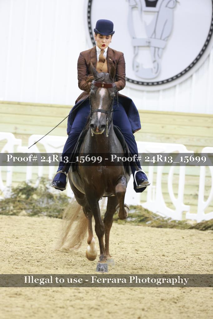 Proof Number 24R13_15699