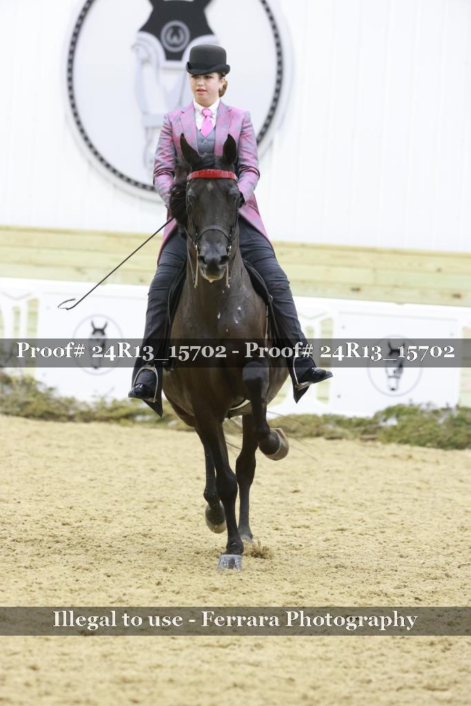 Proof Number 24R13_15702