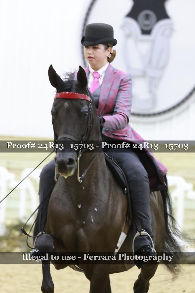 Proof Number 24R13_15703