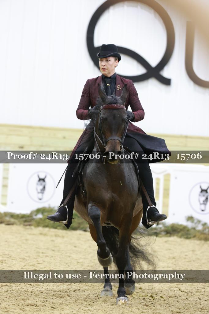 Proof Number 24R13_15706