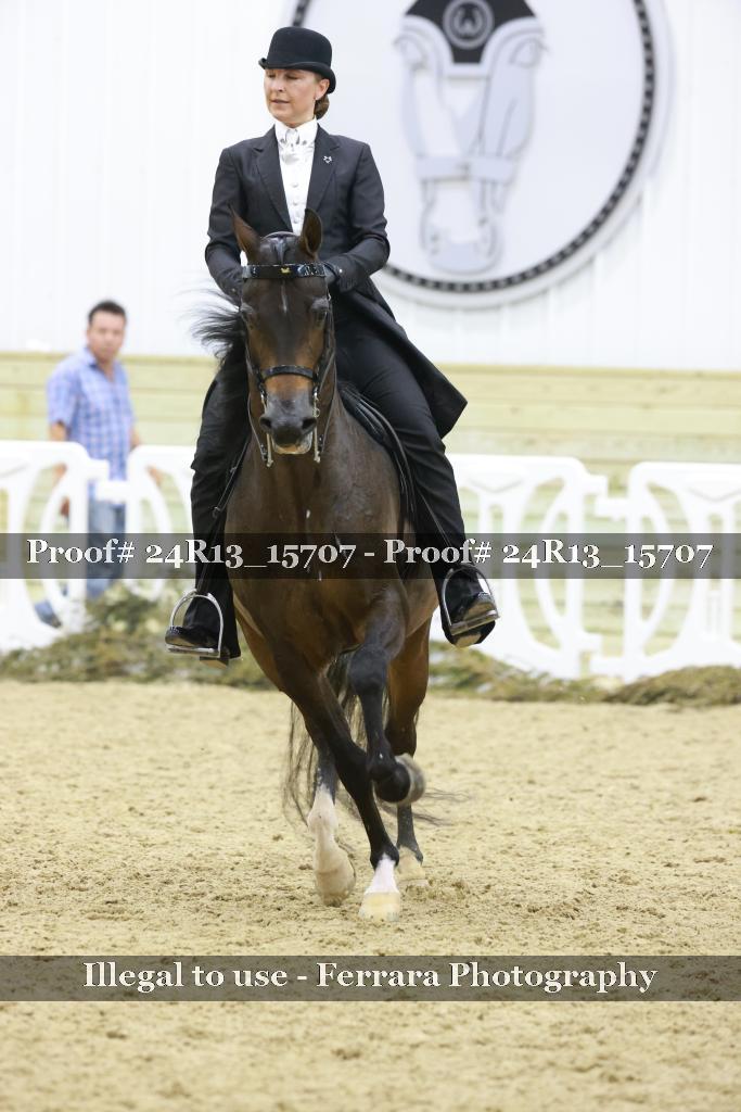 Proof Number 24R13_15707