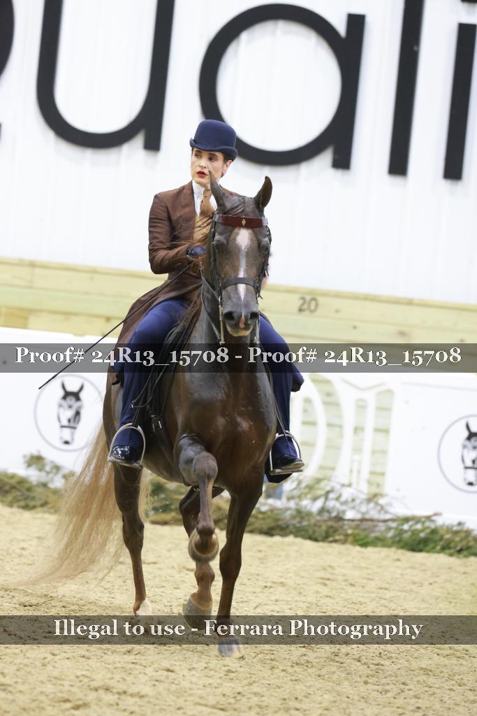 Proof Number 24R13_15708