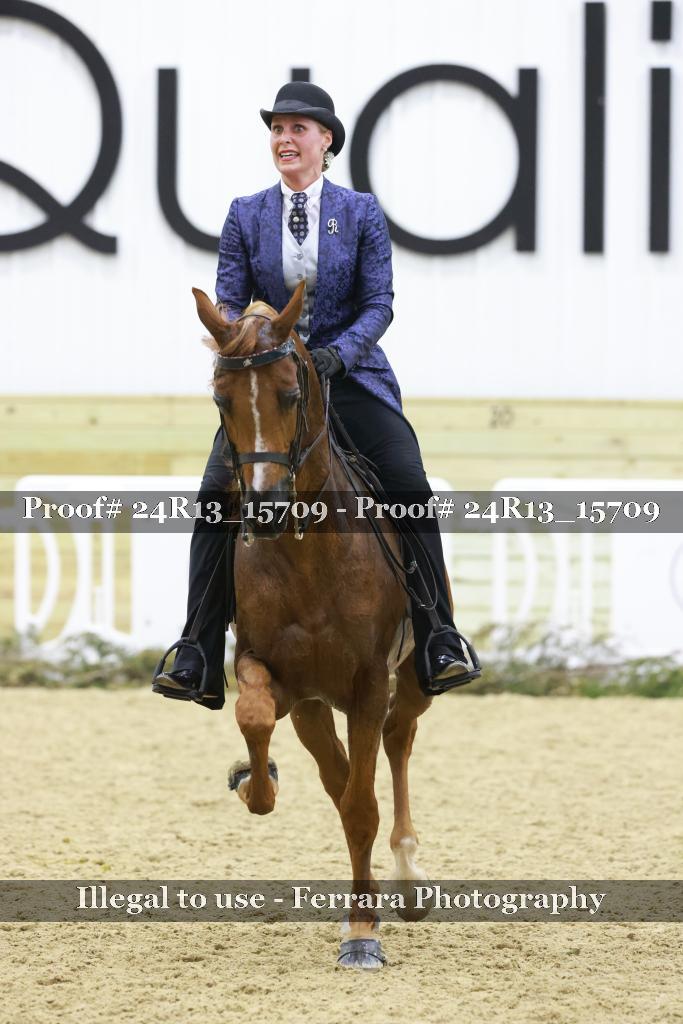 Proof Number 24R13_15709