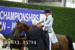 24R13_15714 thumbnail