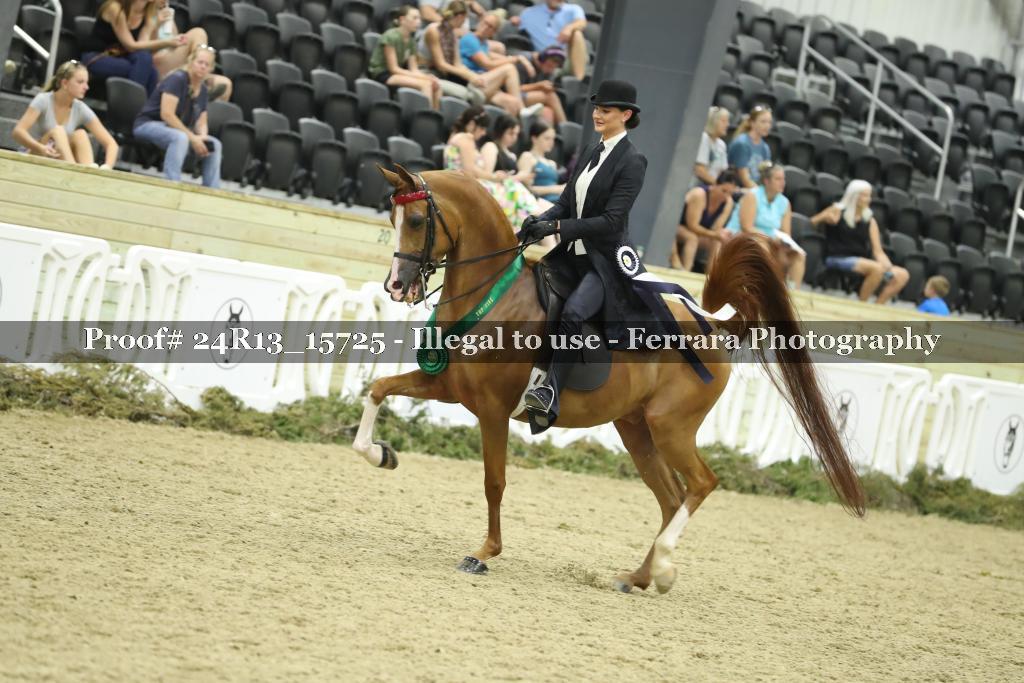 Proof Number 24R13_15725