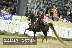 24R13_15748 thumbnail
