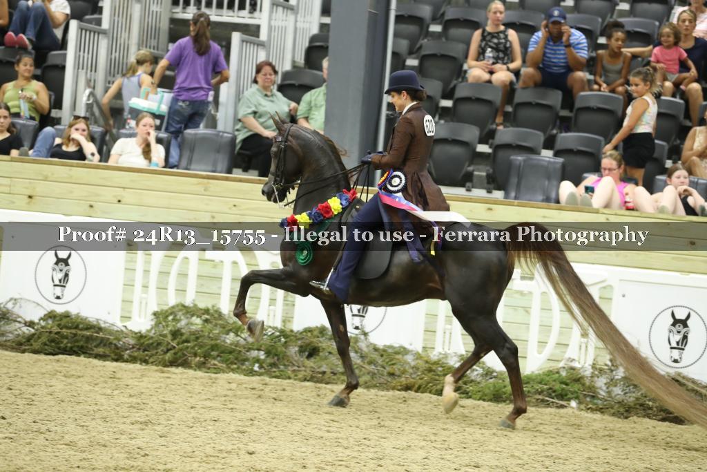 Proof Number 24R13_15755