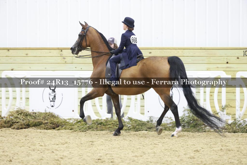 Proof Number 24R13_15776