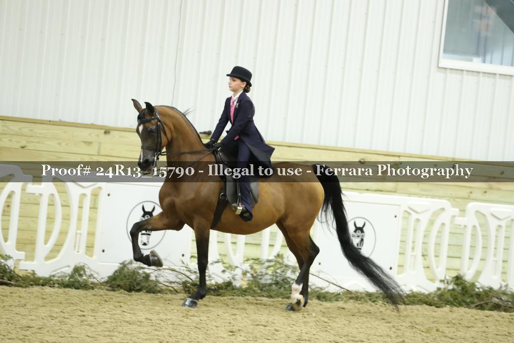 Proof Number 24R13_15790