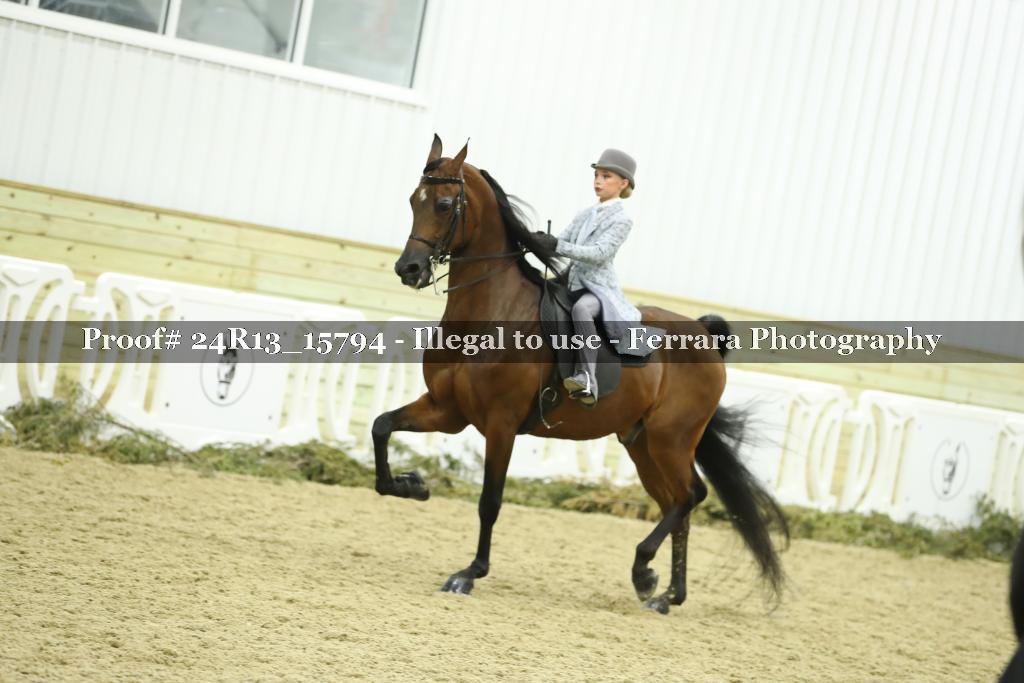 Proof Number 24R13_15794