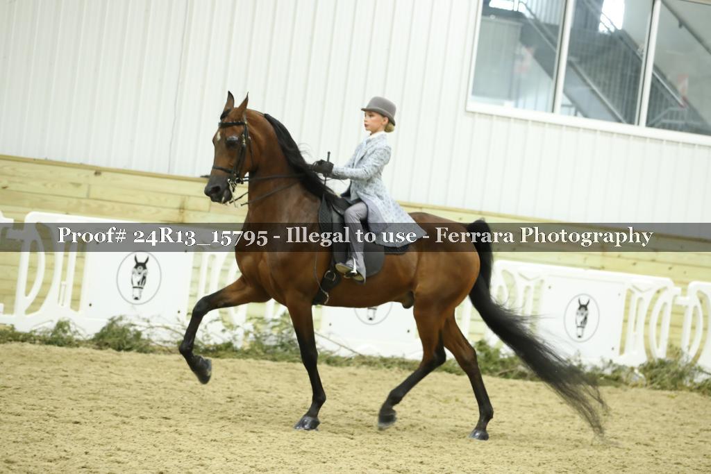 Proof Number 24R13_15795