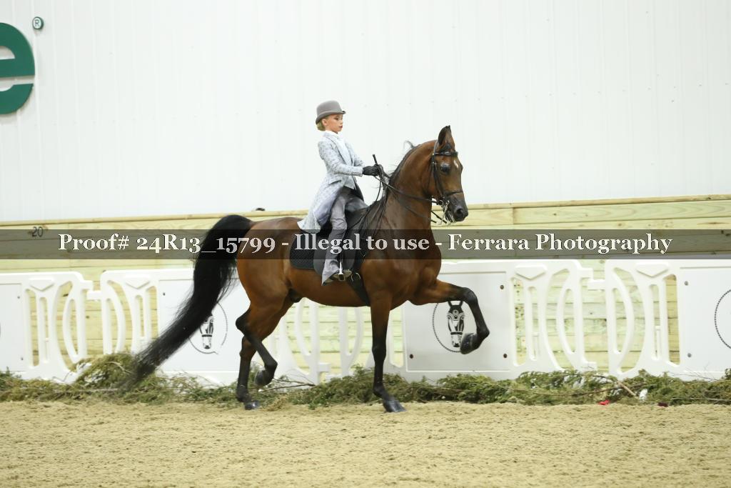 Proof Number 24R13_15799