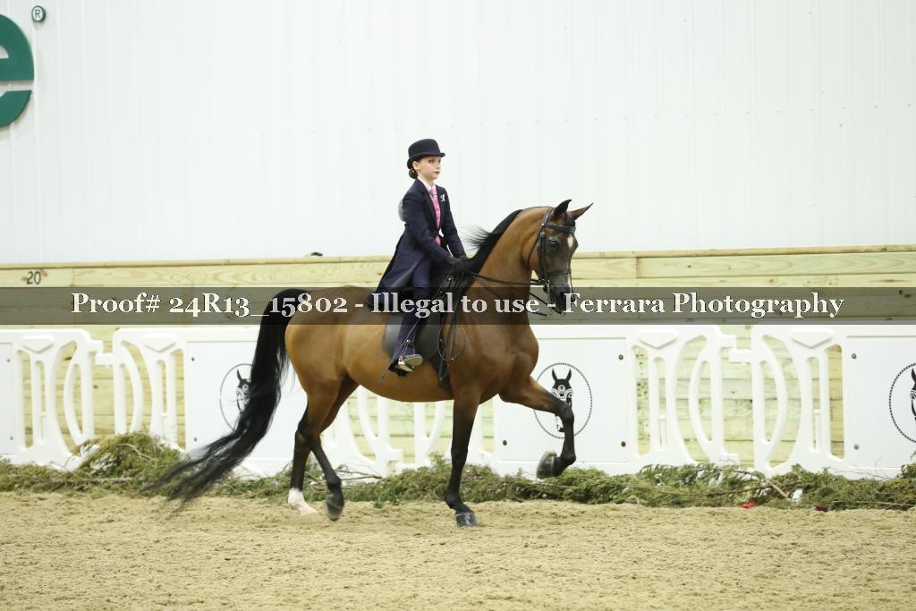 Proof Number 24R13_15802