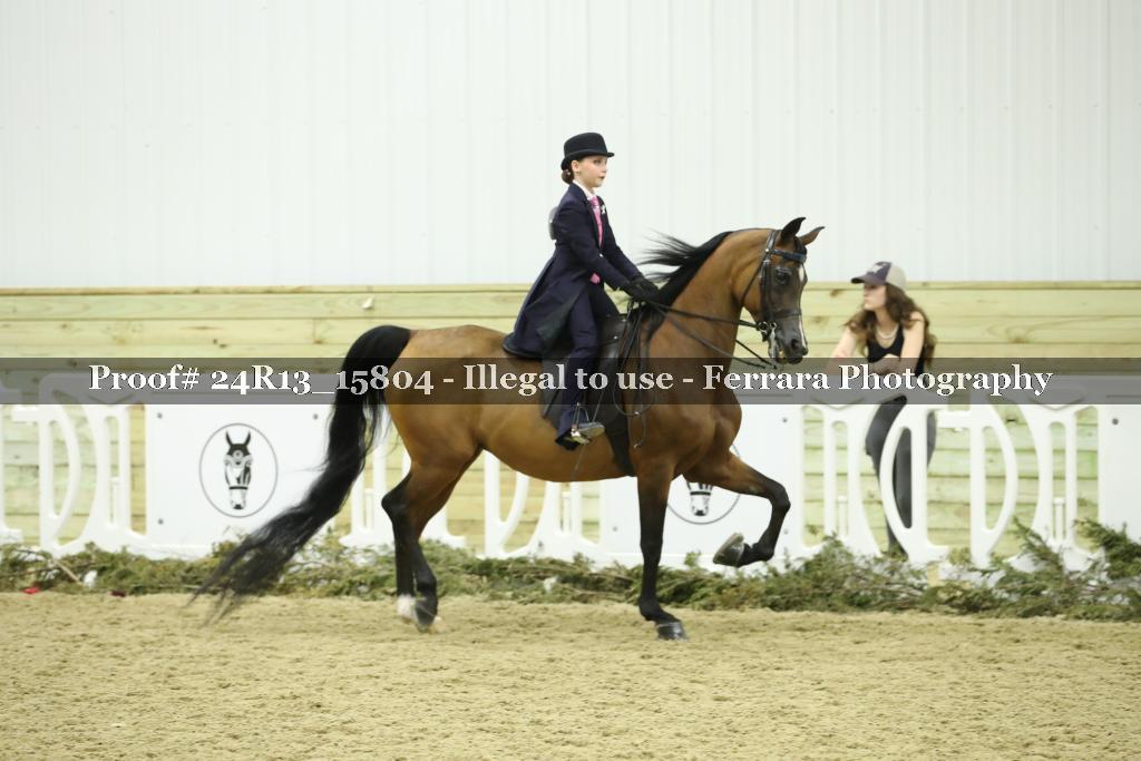 Proof Number 24R13_15804