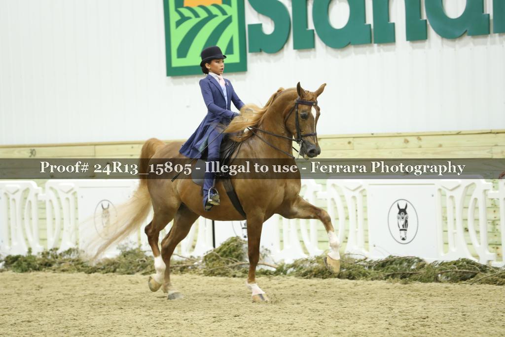 Proof Number 24R13_15805